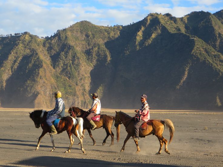 Paket Wisata Bromo 3D2N